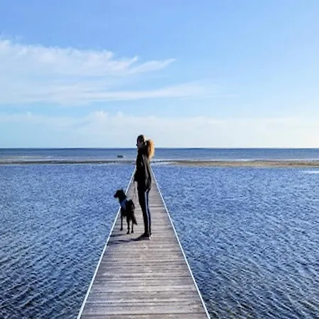 6 Person Holiday In 公寓 Hadsund