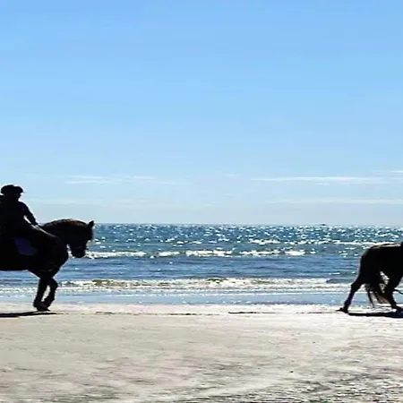 6 Person Holiday In Hadsund